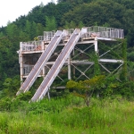 sports world white slide.jpg